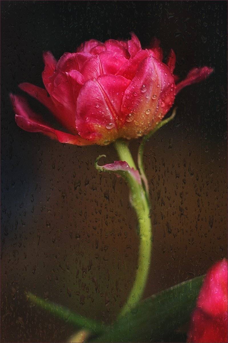 , Александр Хромеев