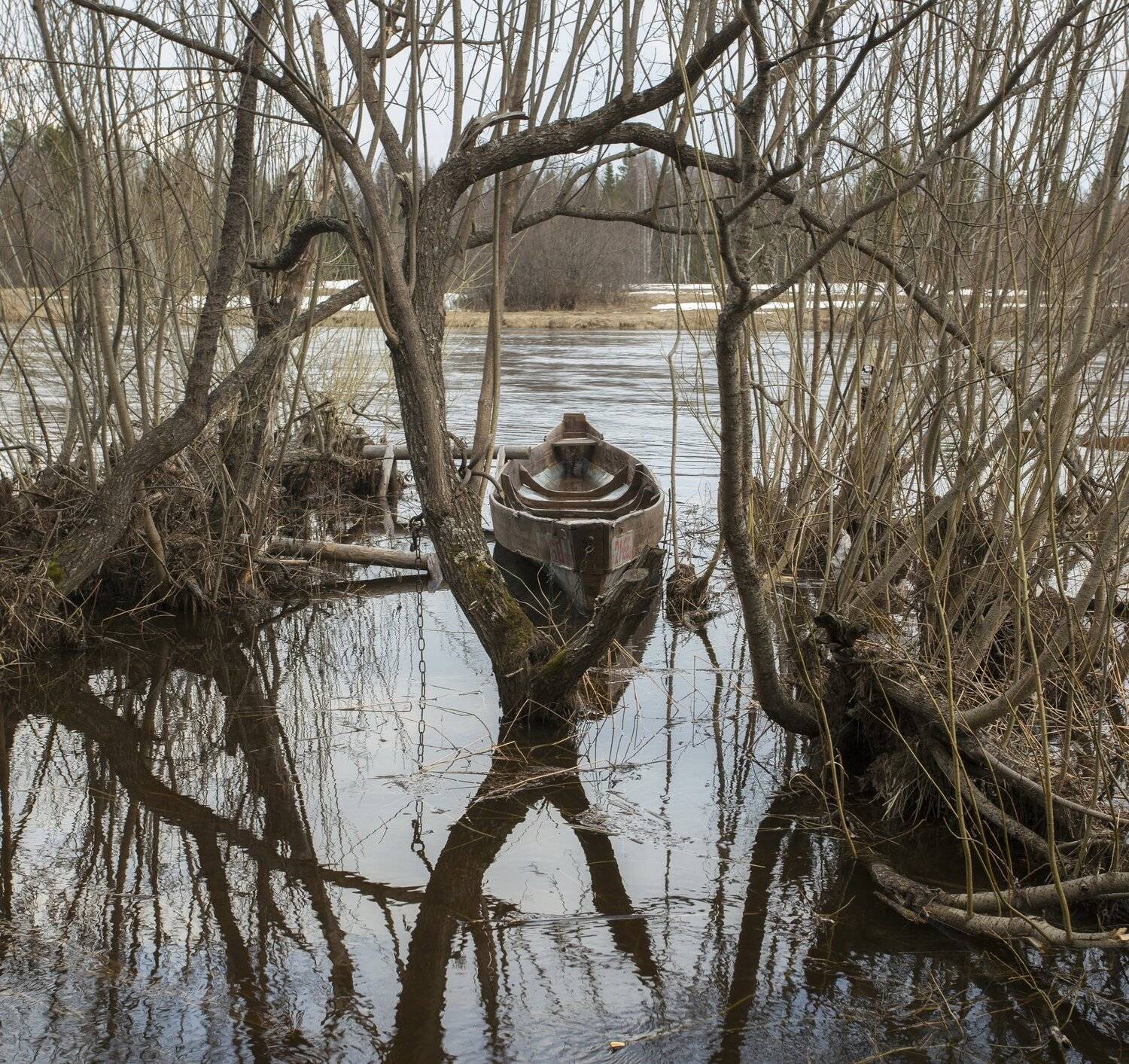 , Федотов Сергей