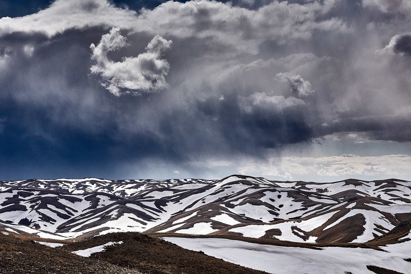 Весенние Контрасты фото превью