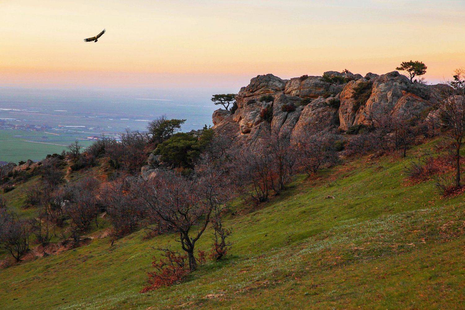 горы,весна,просторы,дагестан,гриф,, Marat Magov