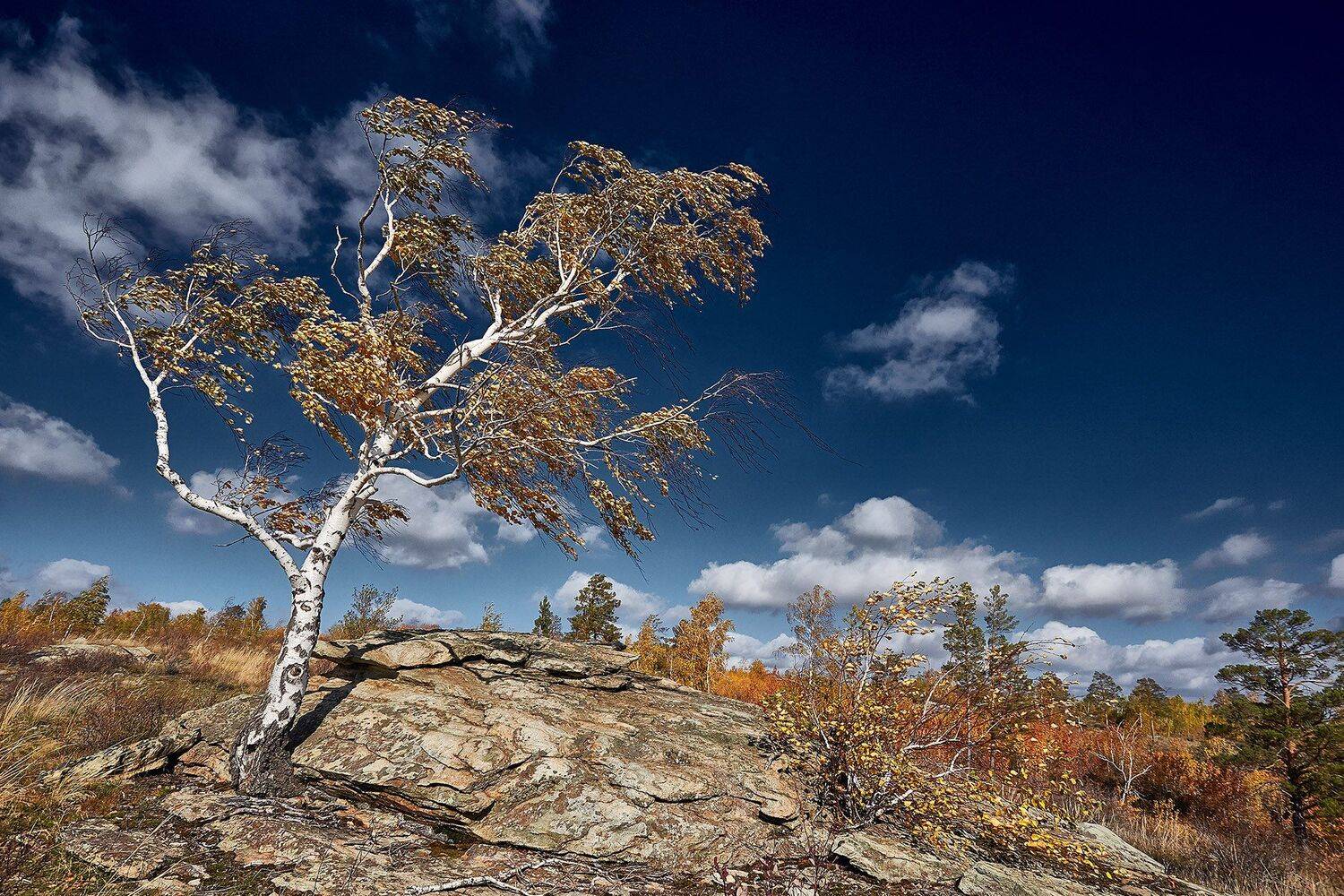 южный, урал, долгие горы, орск, новотроицк башкирия талкас, Качурин Алексей