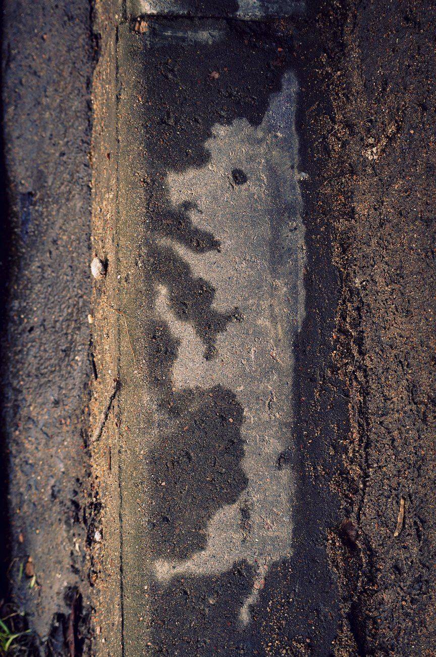 pareidolia, ПОЛУЕВ ИЛЬЯ