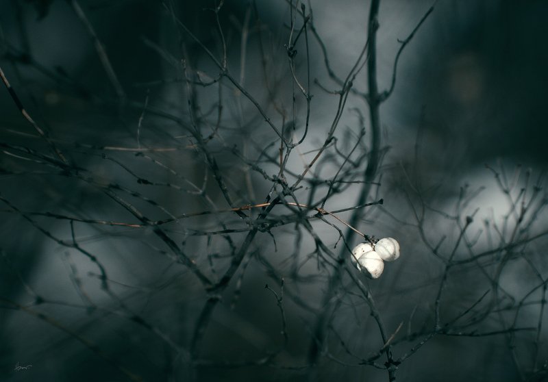 малые планеты фото превью