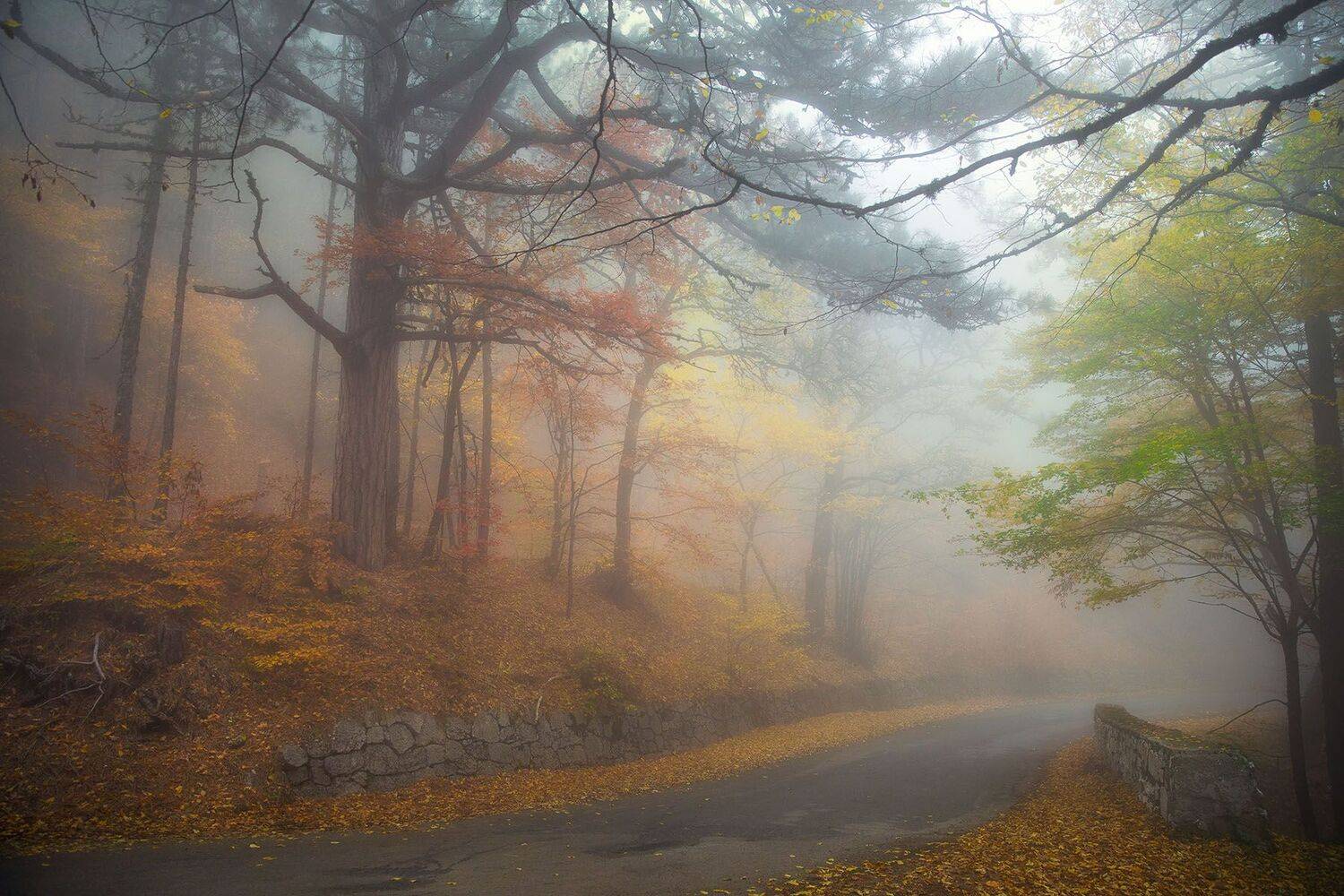 , Александр Костенко