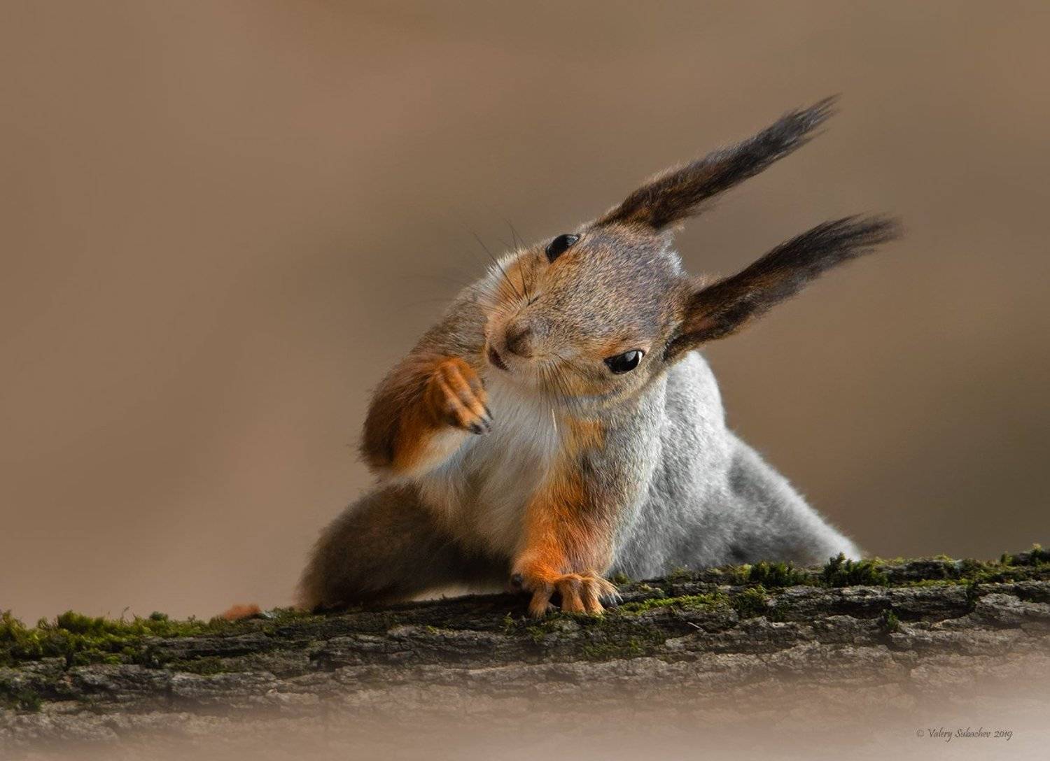 , Валерий Субачев