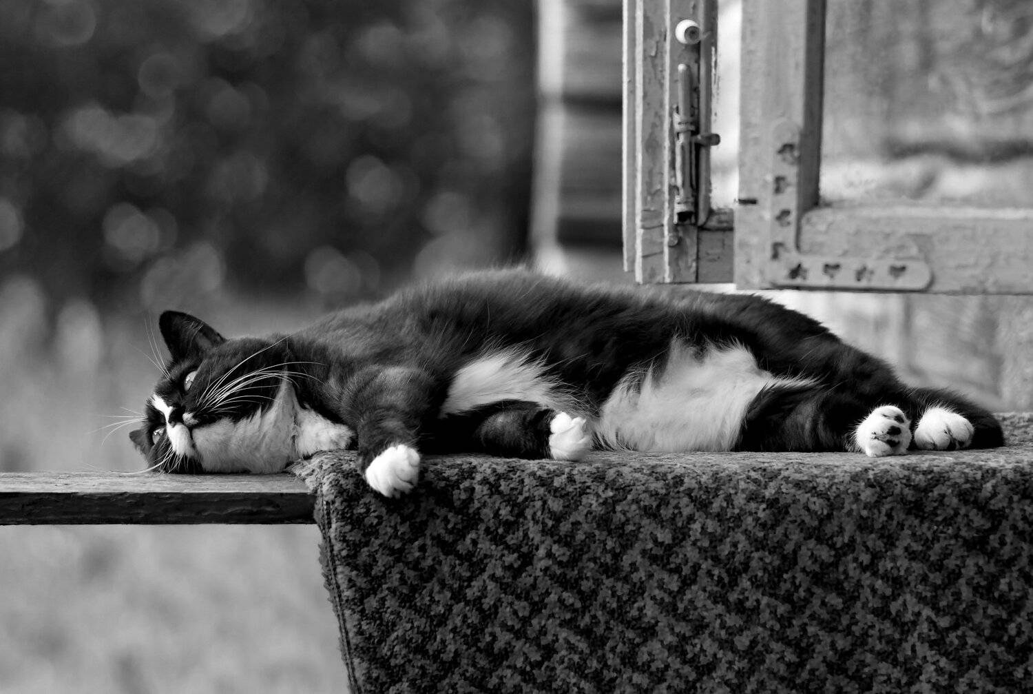 , Sixten ( Сергей )