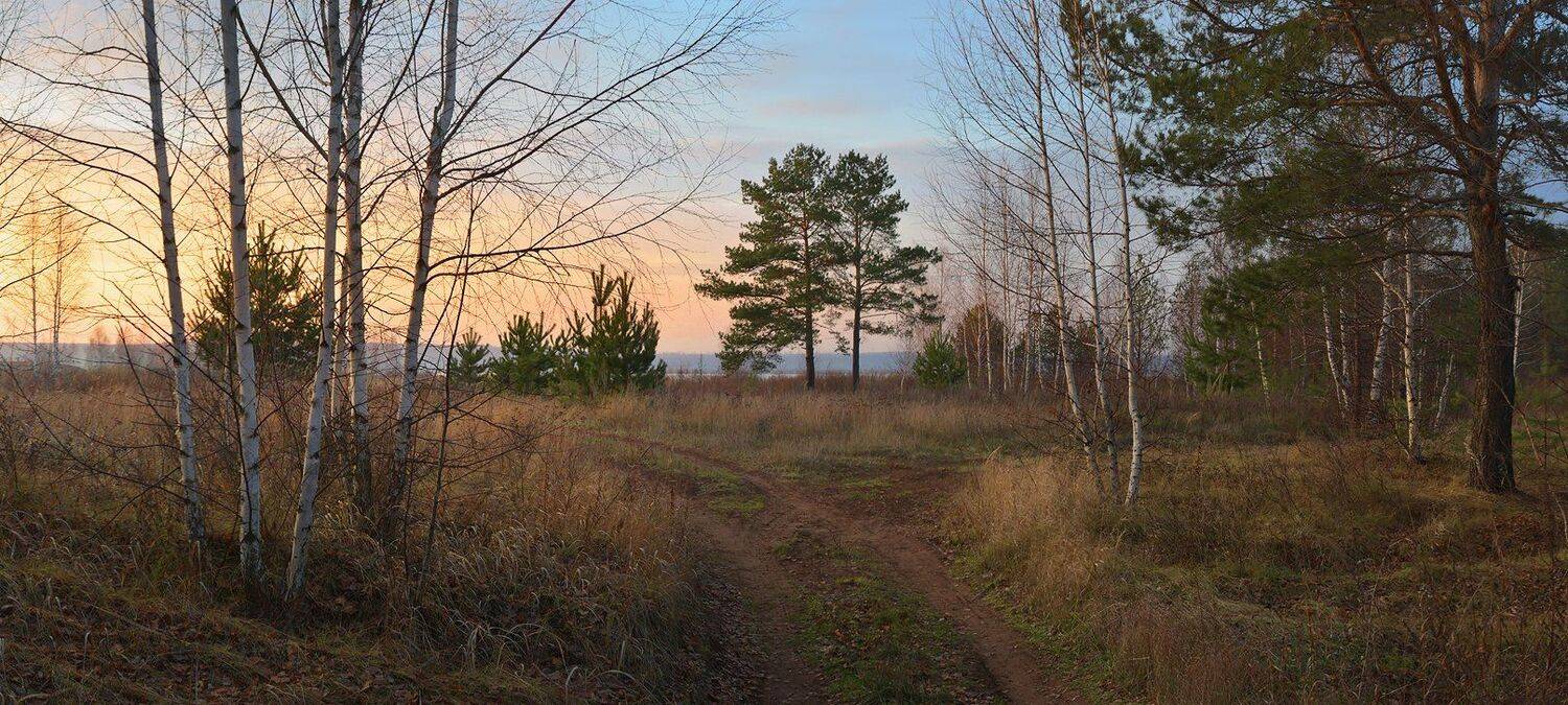закат, небо, холодно, вечерний свет, дорога, деревья, трава, Irina Shapronova