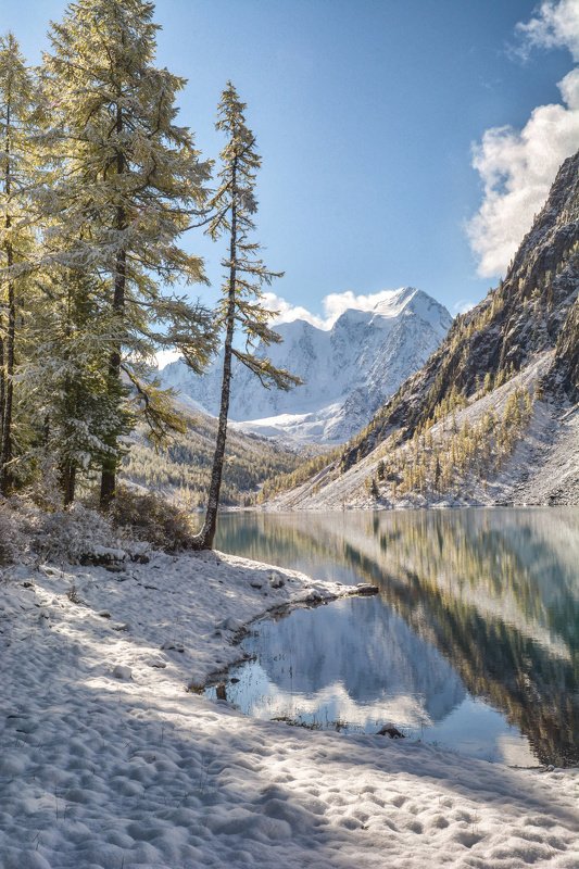 алтай,горы на  Шавлинских берегах фото превью
