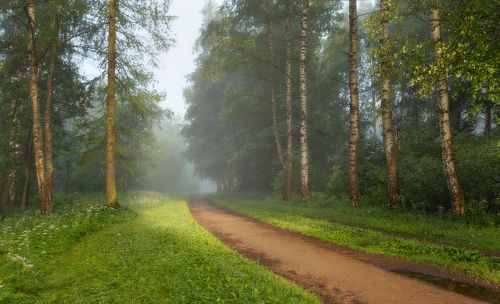 В лето. . .