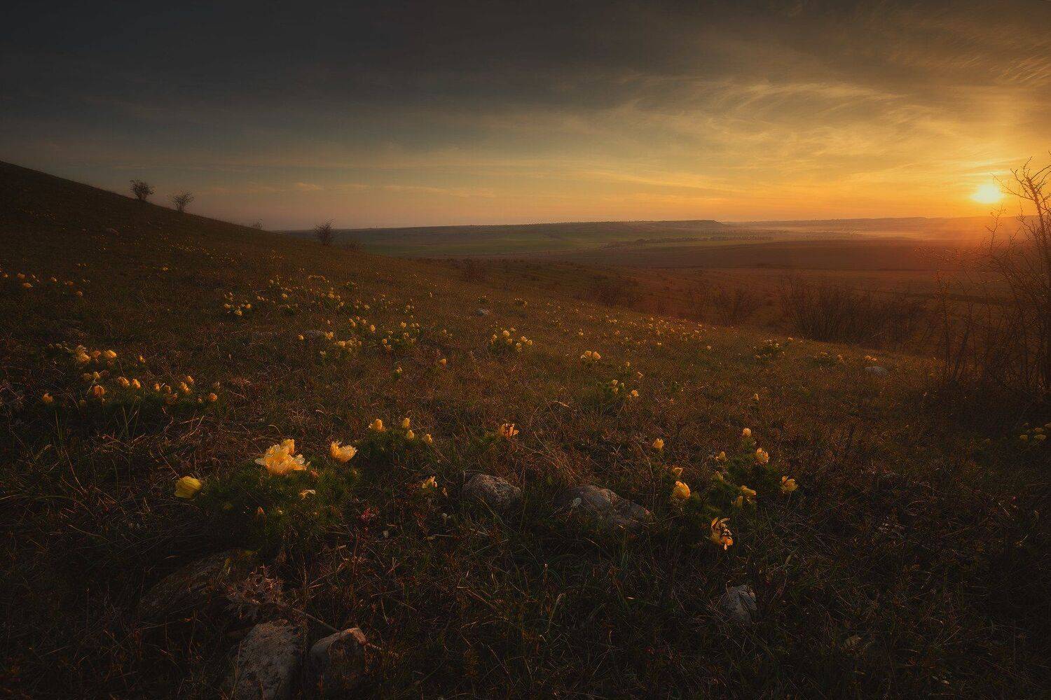 , Oleg Feofanov