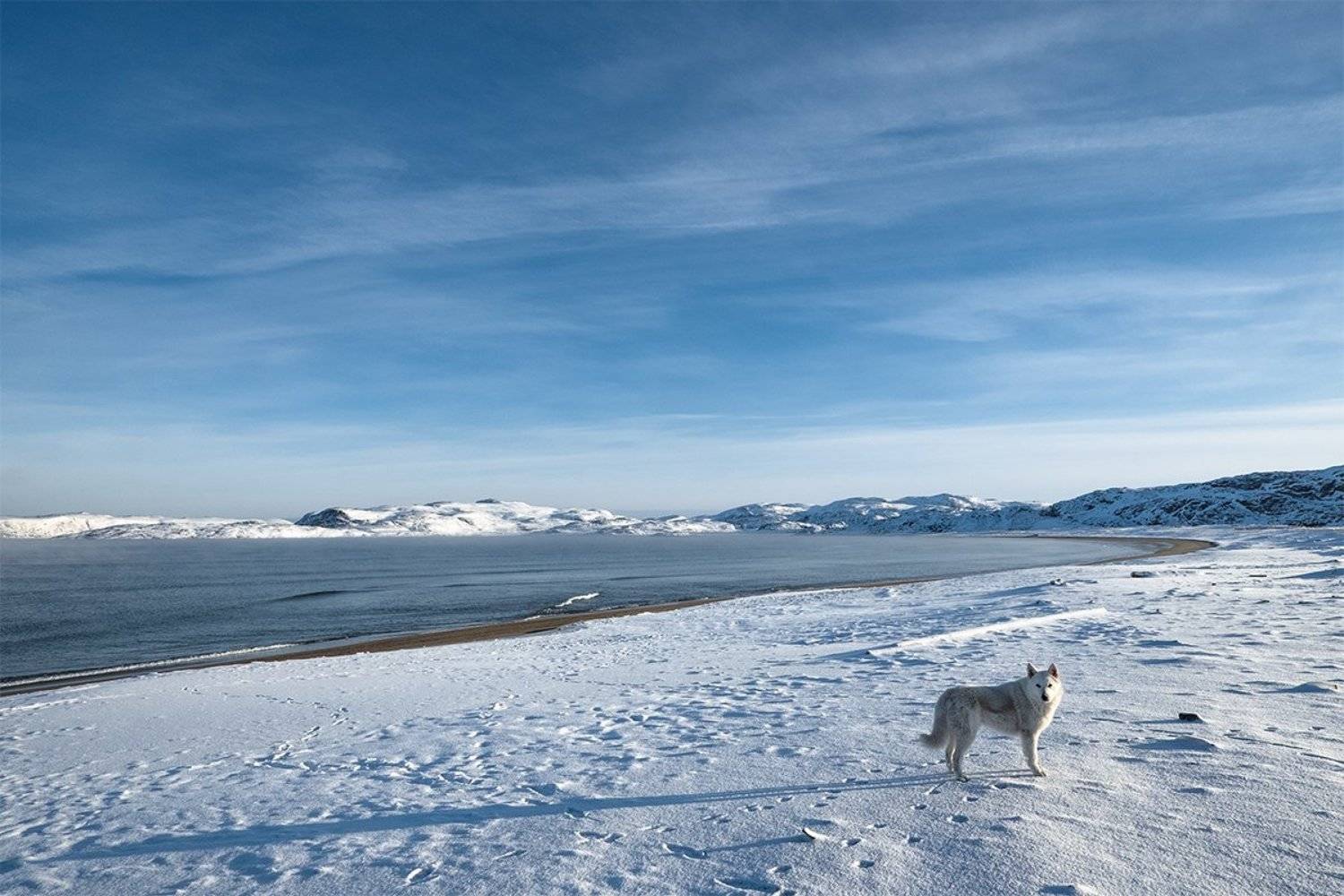 Териберка, Павел Кондратьев