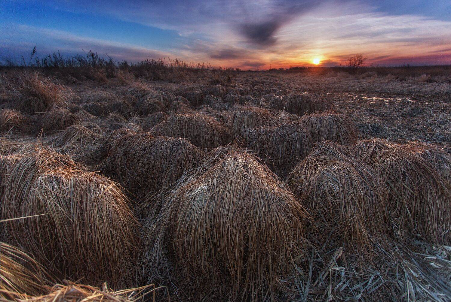 , Павел Сагайдак