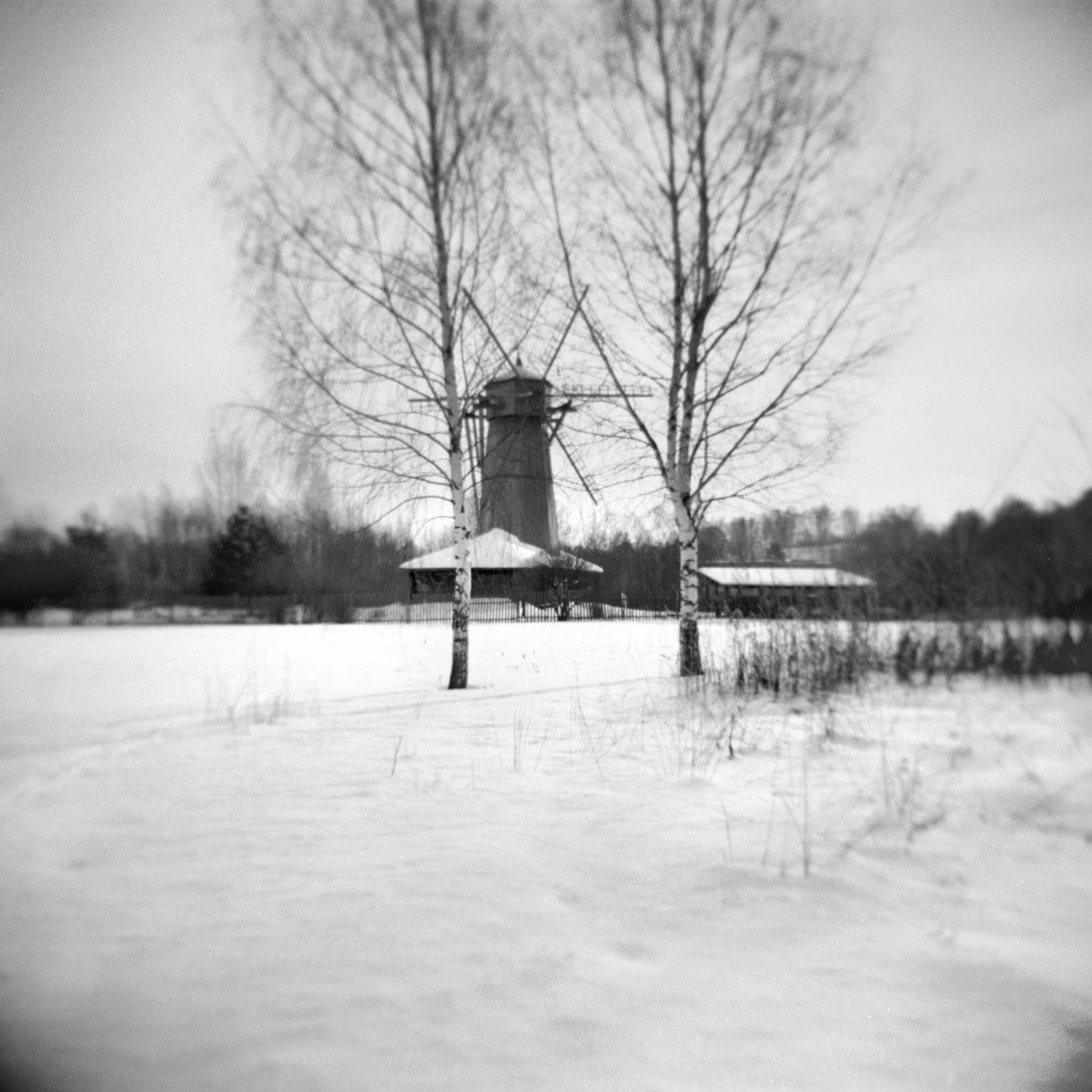 hоlga пейзаж весна, Александр Резников