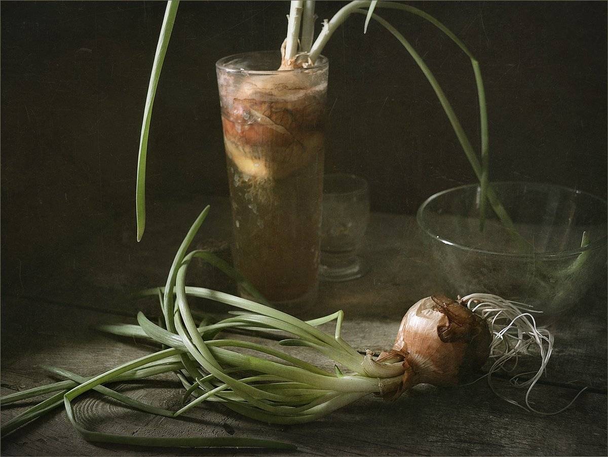 , Александр Хромеев