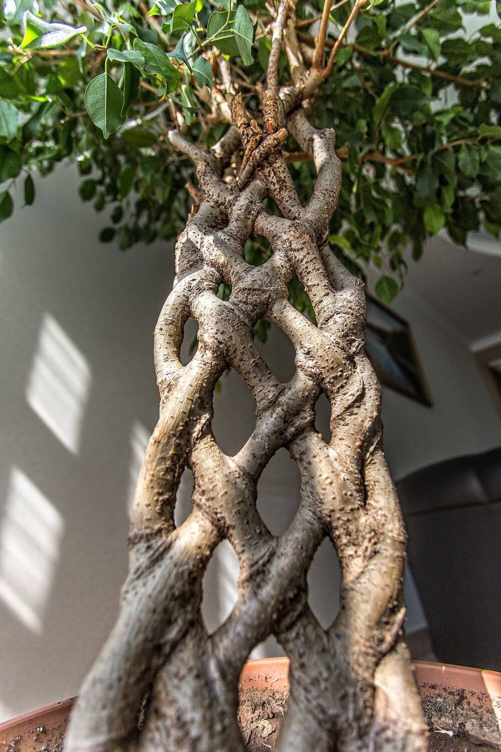 , Павел Сагайдак