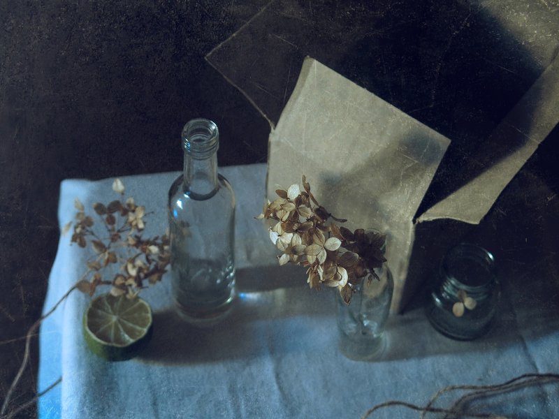 Гортензия фото превью