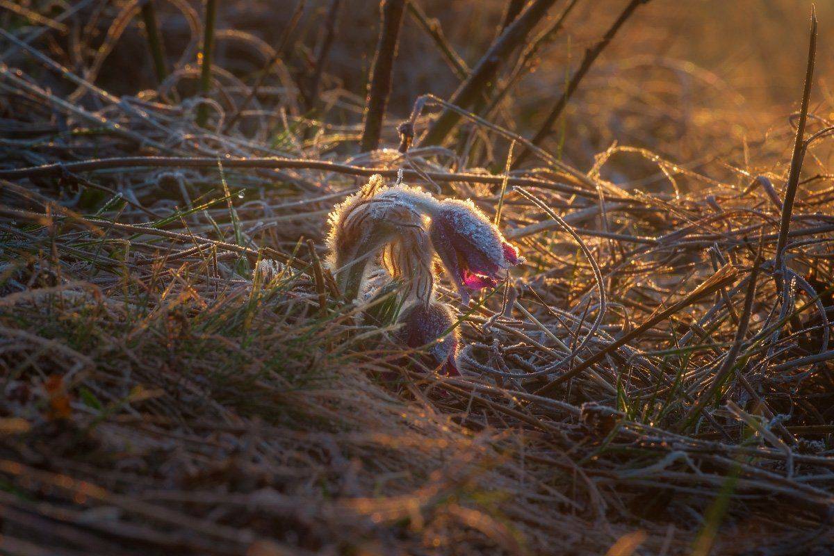 #landscape, #nature, #scenery, #forest, #wood, #autumn, #mist, #misty, #fog, #foggy, #river, #waterfall, #longexposure, #mountain, #vitosha, #bulgari, #aтуман, #лес, #oсень, Леонид Морозов