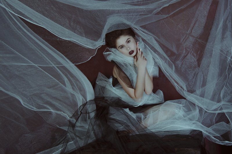 Мотылек фото превью