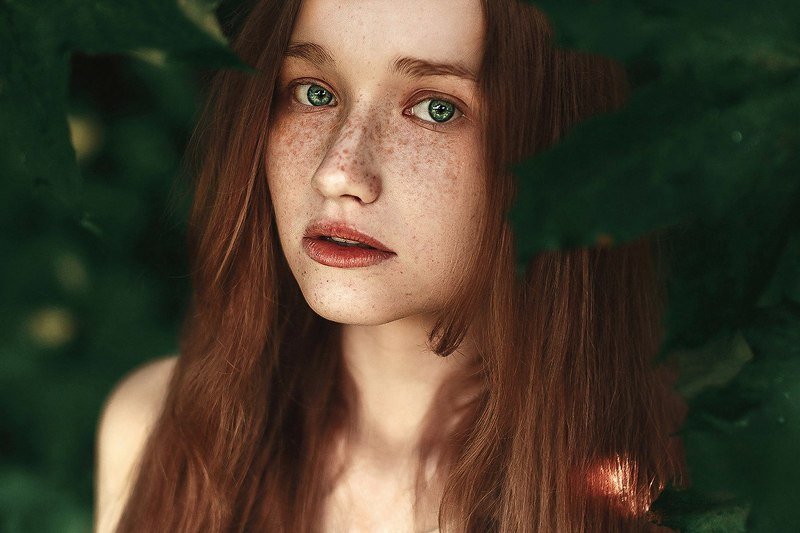 Портфолио фото превью