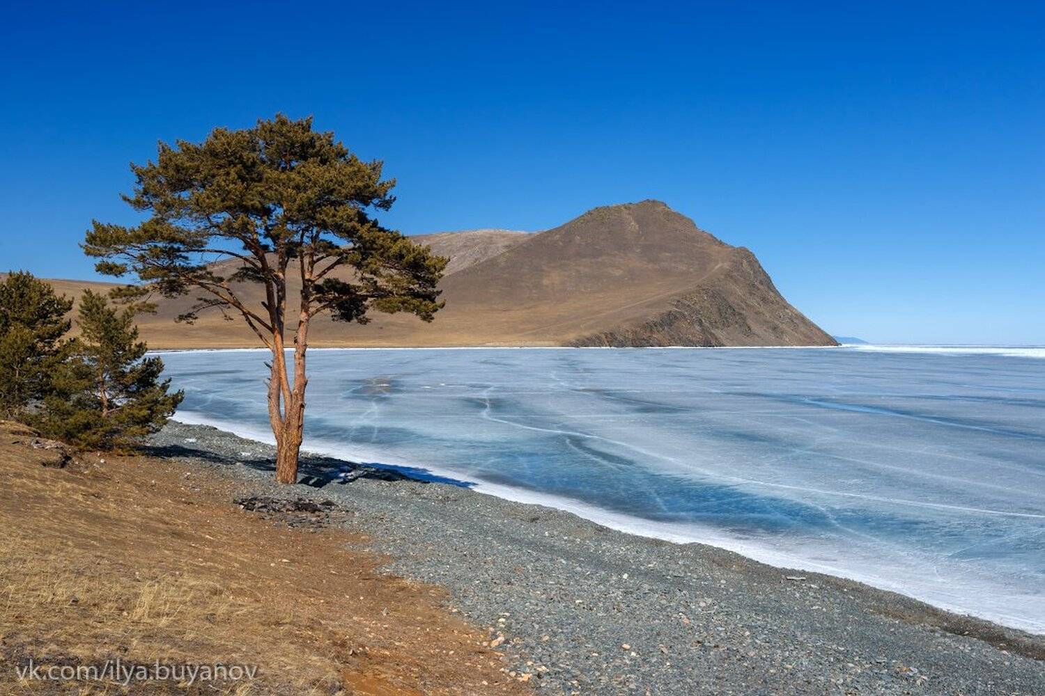 , Илья Буянов