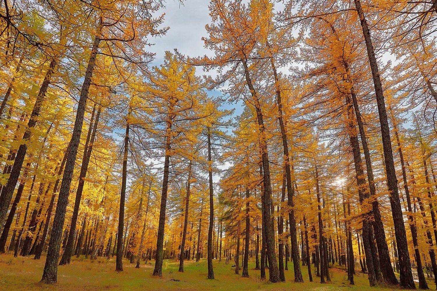 южный, урал, долгие горы, орск, новотроицк башкирия талкас, Качурин Алексей