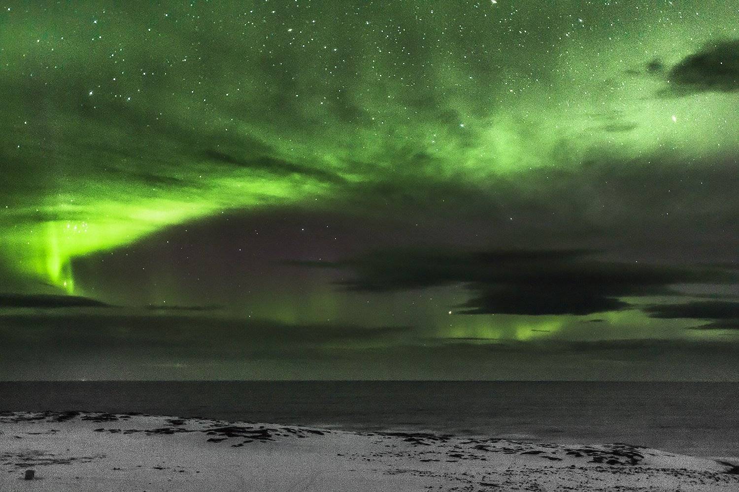 , Ольга Йонш