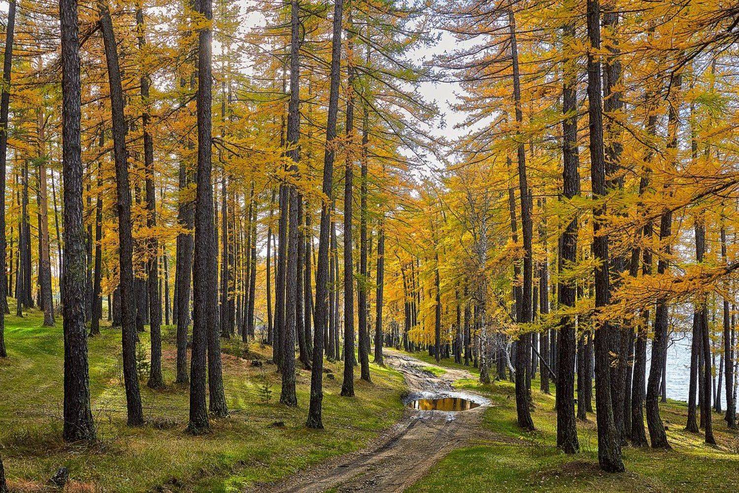 южный, урал, долгие горы, орск, новотроицк башкирия талкас, Качурин Алексей