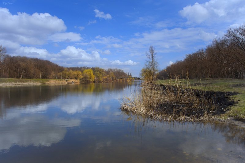весна,утро,берег,река,гидропарк Гидропарк ... фото превью