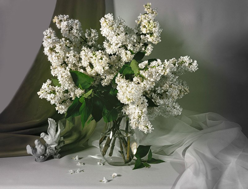 натюрморт, белая сирень, букет, голубки, статуэтка, кувшин, цветы Белая сирень фото превью