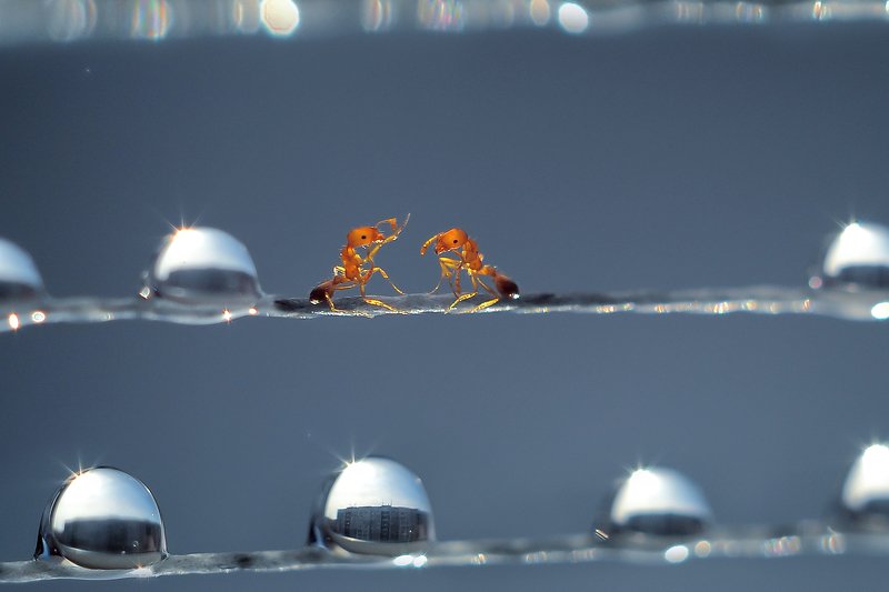 Серьезный разговор фото превью