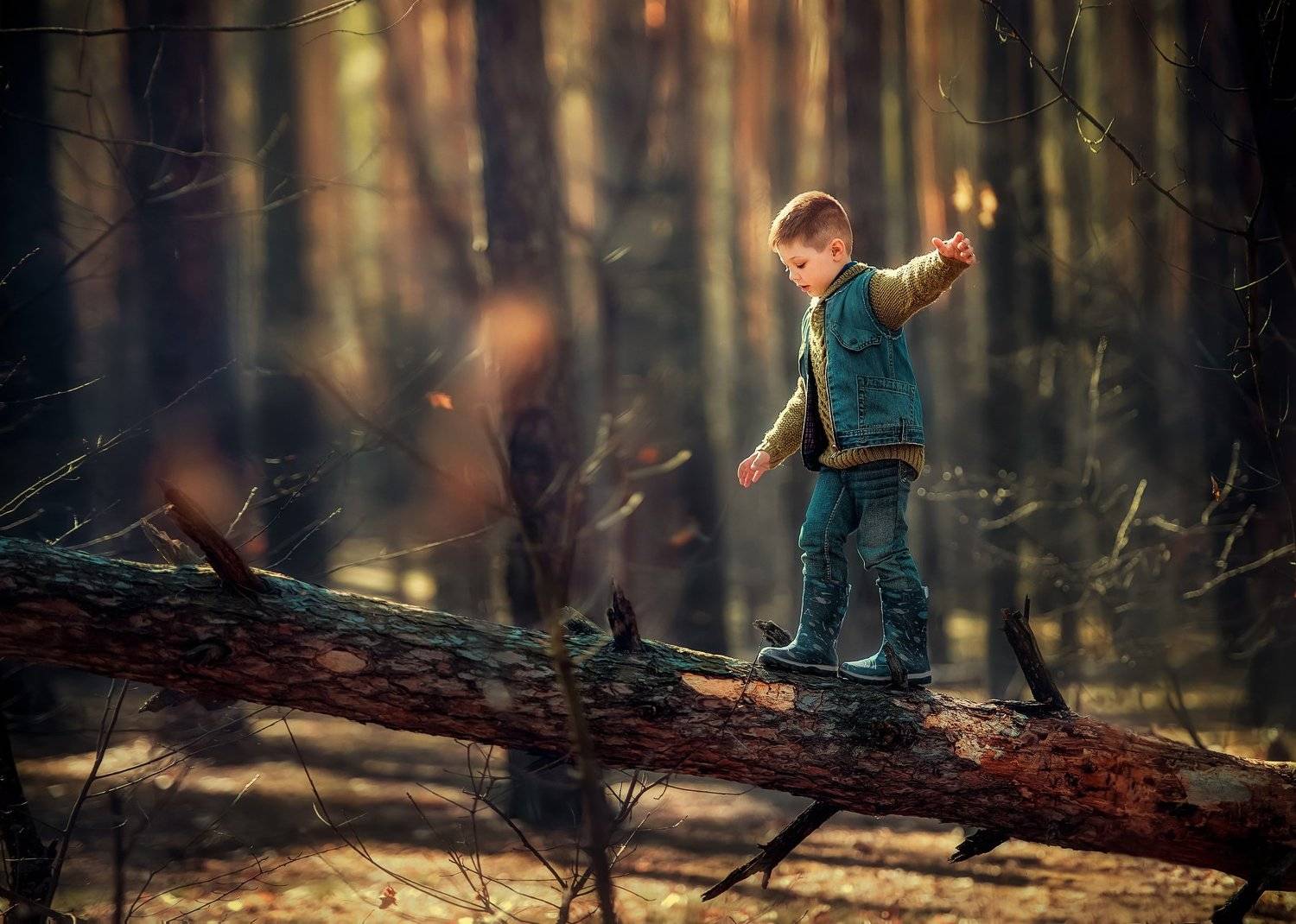 , Елена Полковникова