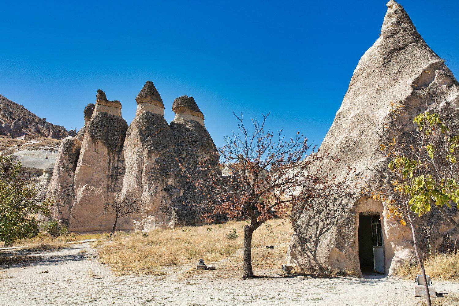 , Игорь Дубровский