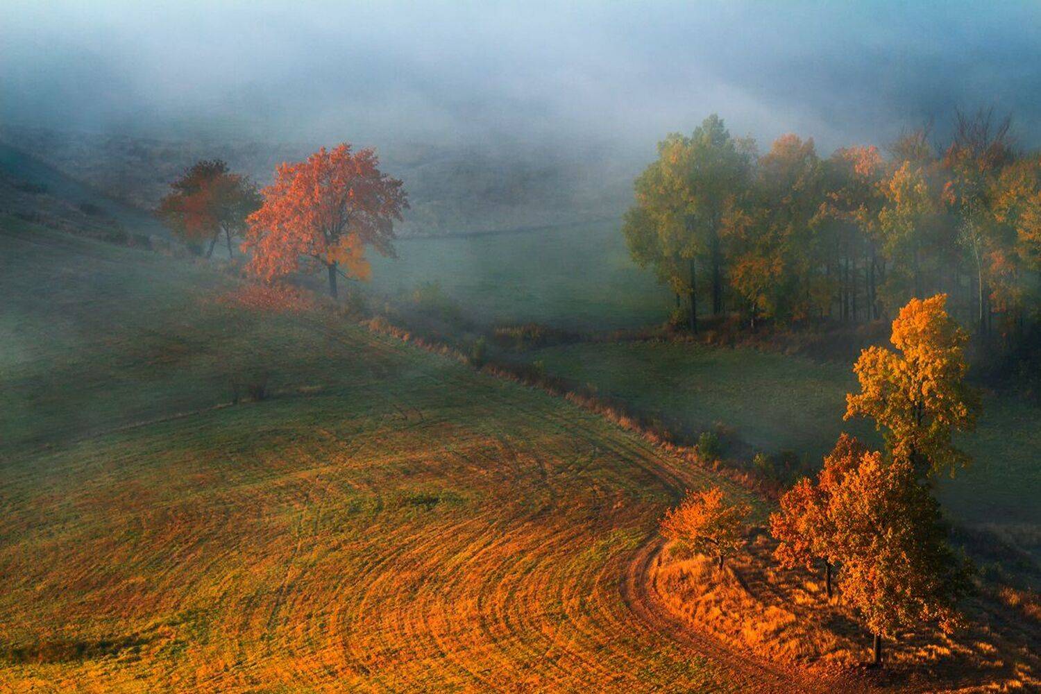 landscape,canon,mist,light,autumn, Iza i Darek Mitręga