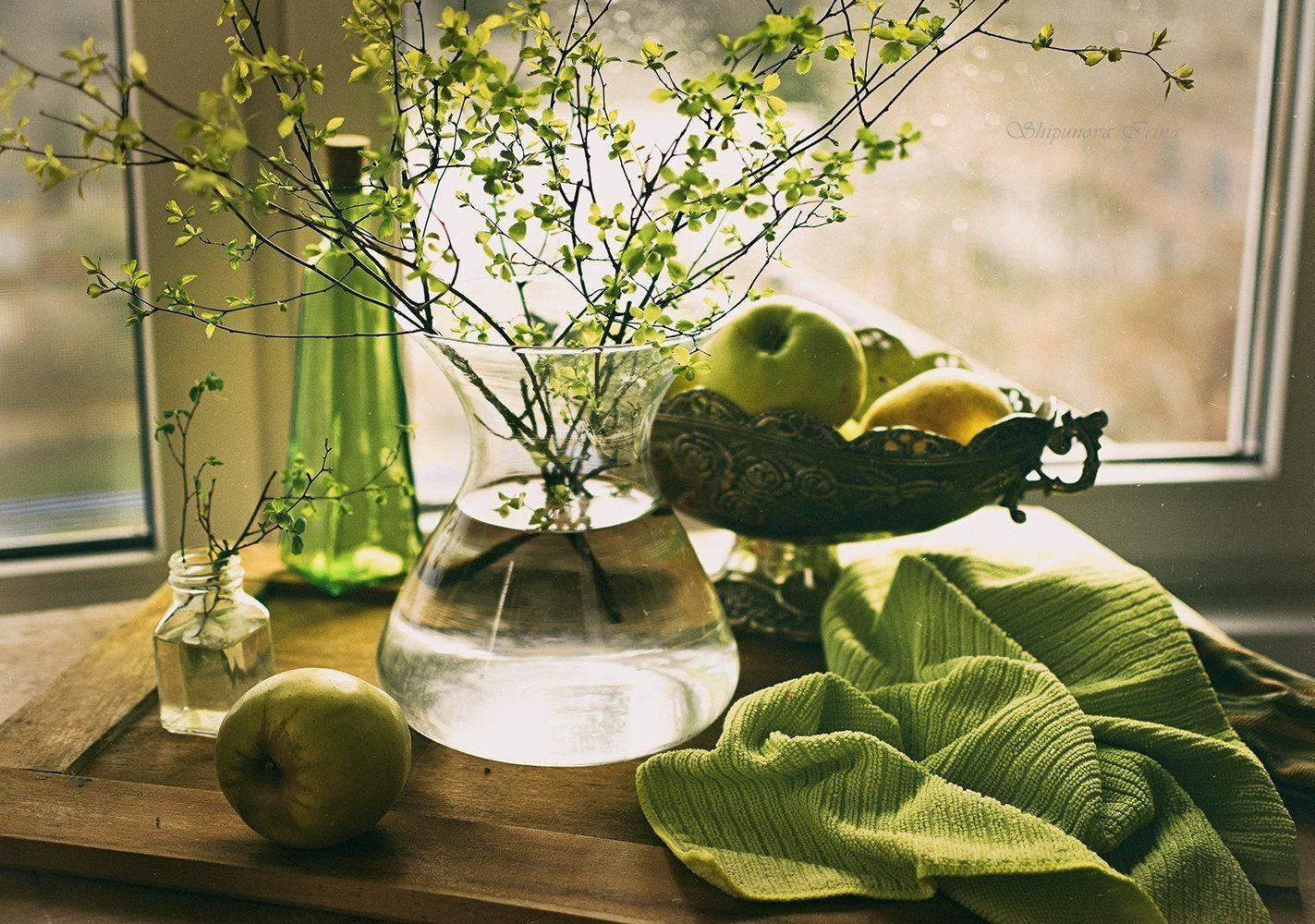 , Шипунова Ирина