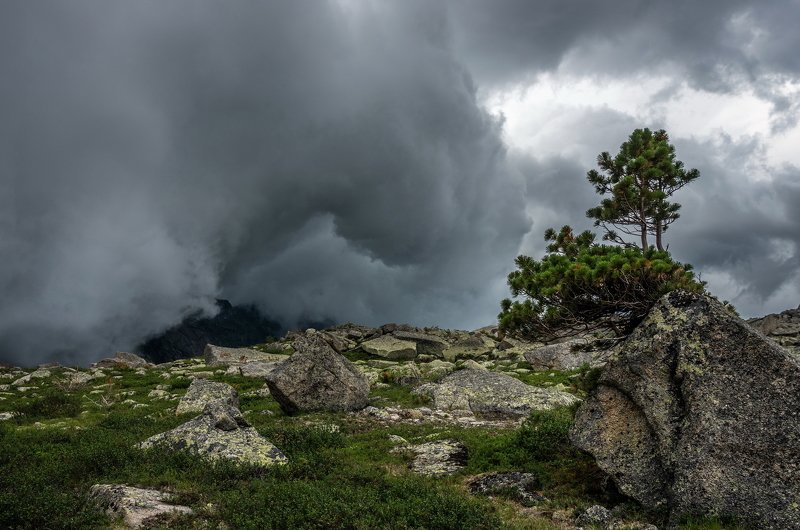 горы, сибирь, саяны, западный саян, стихия, грозовой фронт, кедр Прорыв из котла фото превью