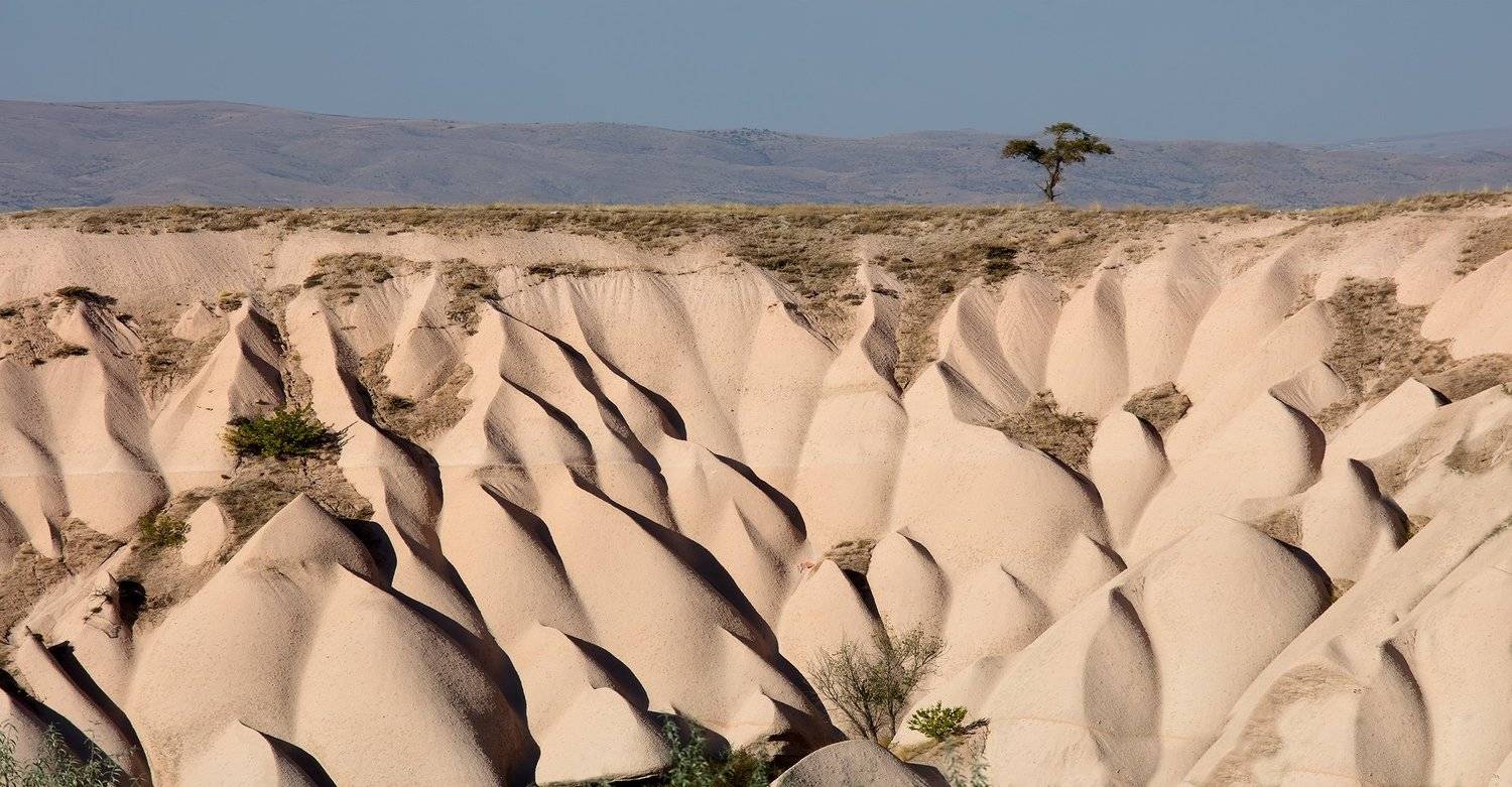 , Игорь Дубровский