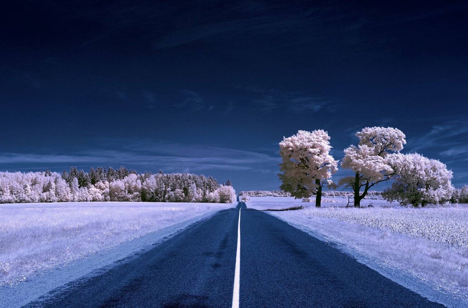 , Sixten ( Сергей )