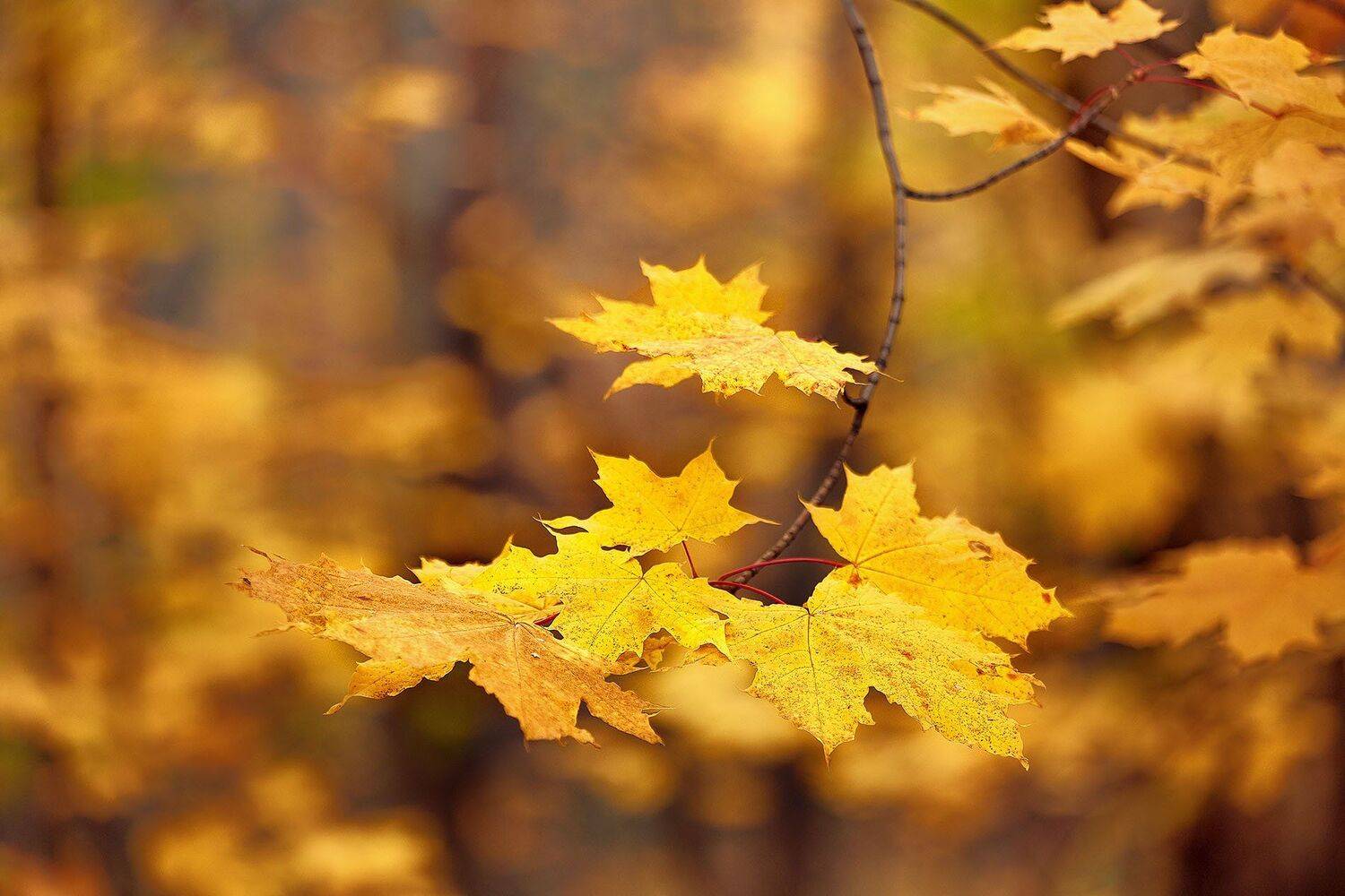 южный, урал, долгие горы, орск, новотроицк башкирия талкас, Качурин Алексей