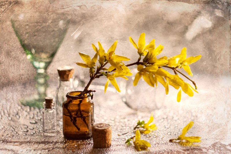 весна, форзиция, цветы, боке, капли, нежность, жёлтый Весенний мотив фото превью