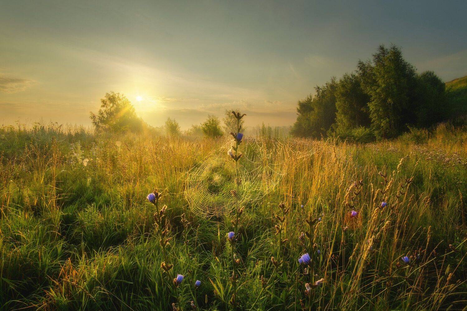 , Оборотов Алексей