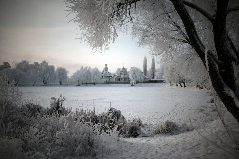 gomel belarus winter snow гомель беларусь зима снег дерево Зимний Пейзаж (II) фото превью