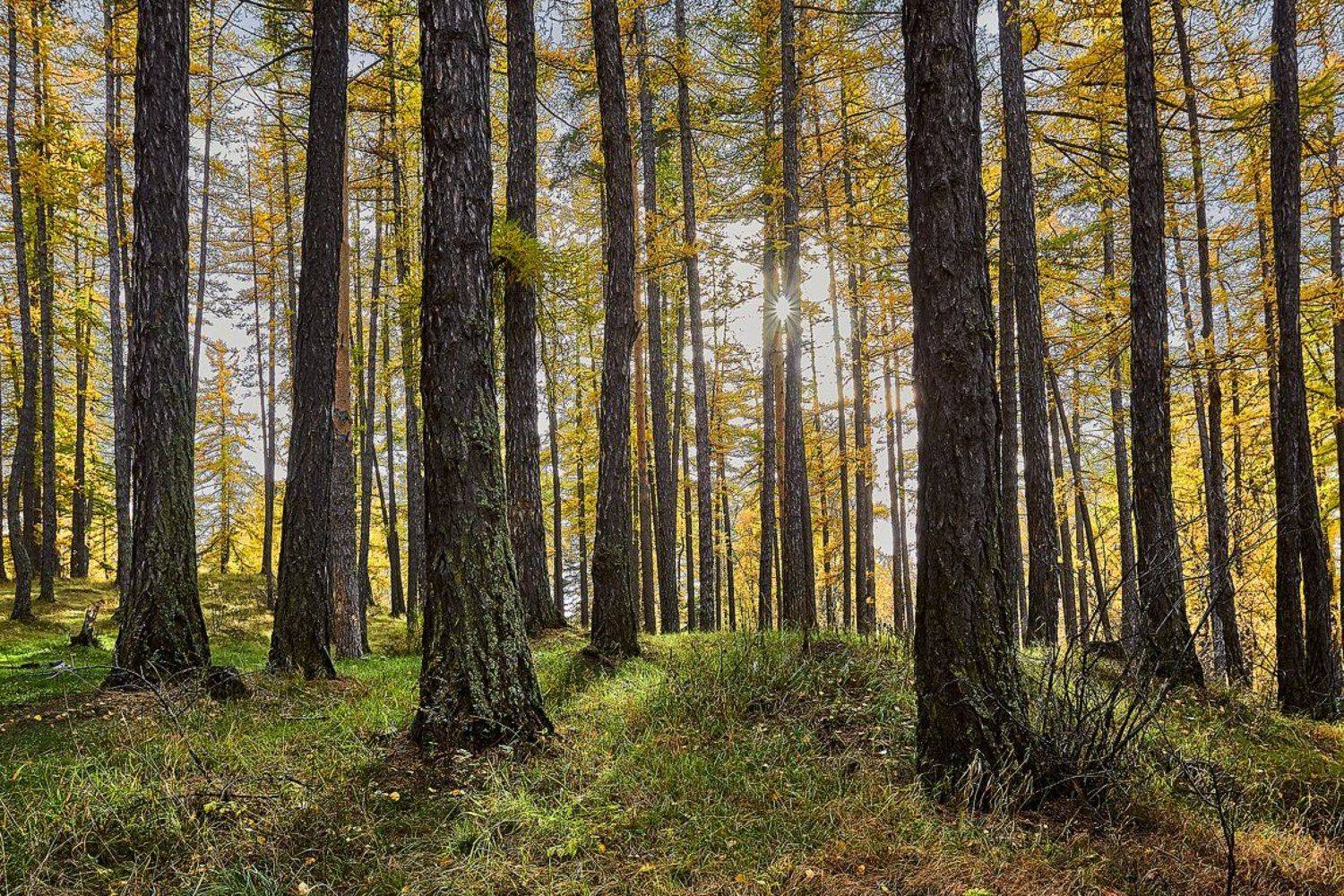 южный, урал, долгие горы, орск, новотроицк башкирия талкас, Качурин Алексей