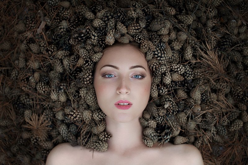 Шишки фото превью