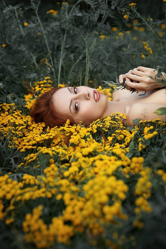 Пижма фото превью