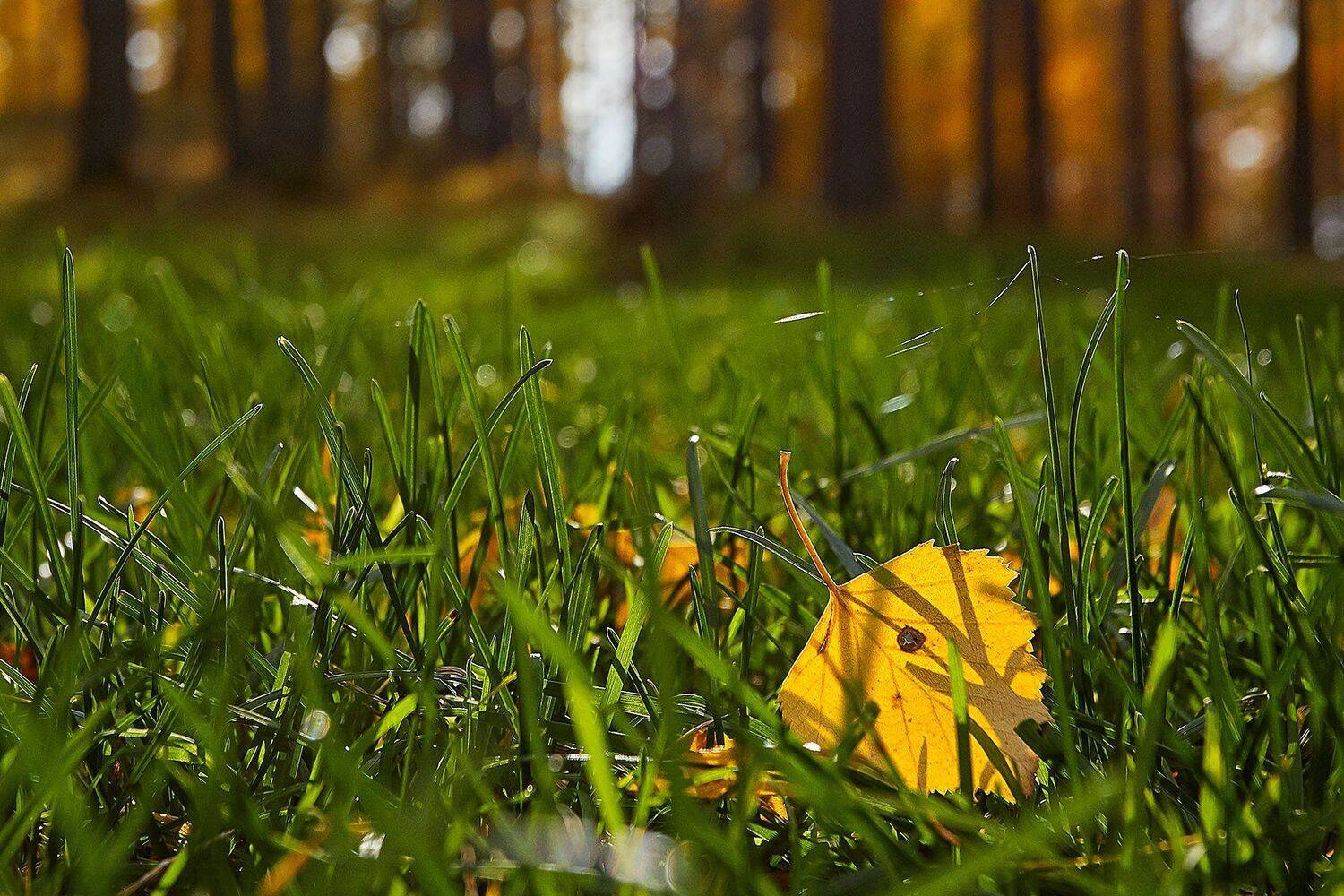 южный урал, орск, башкирия, алтай, алтайский край, ледник, актру, новотроицк, губерля, просто, осень, весна, лето, зима, холод, жара,, Качурин Алексей