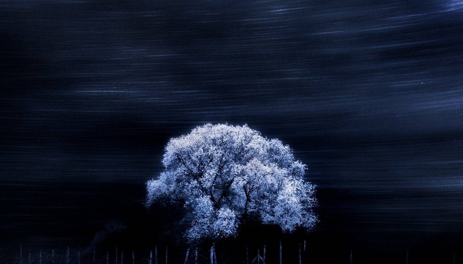 , suk eun kim