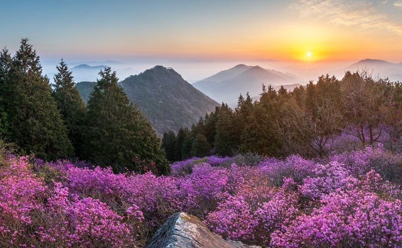 Morning of Cheonjusan фото превью