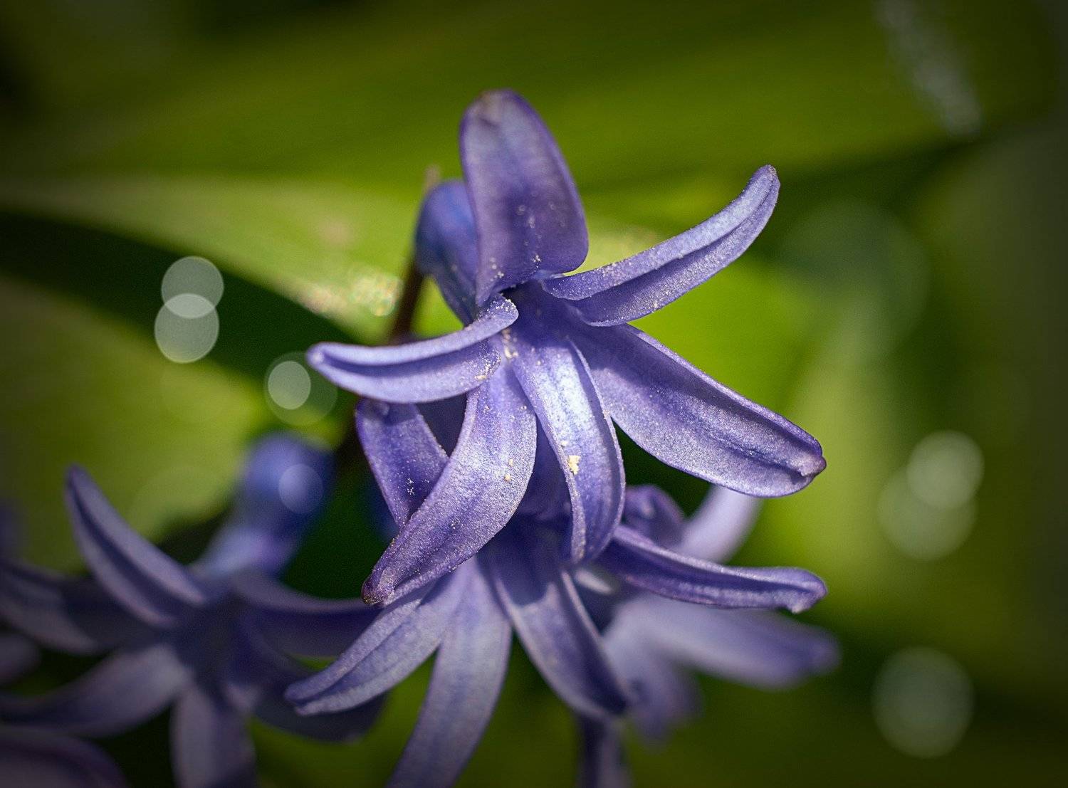 , Владимир Гамаюнов