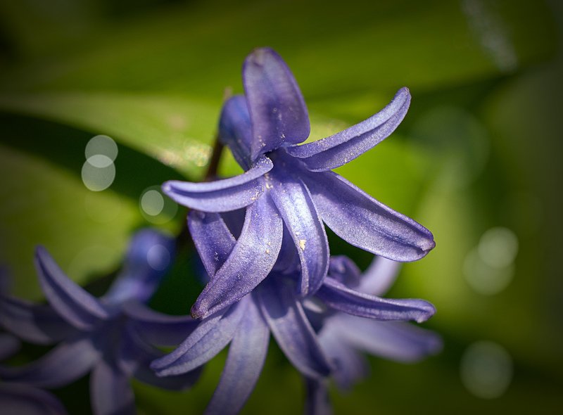 Геоцинт фото превью