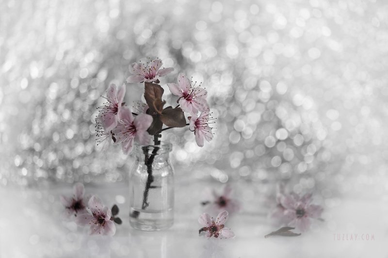 Бокешные фантазии на тему розового или... фото превью